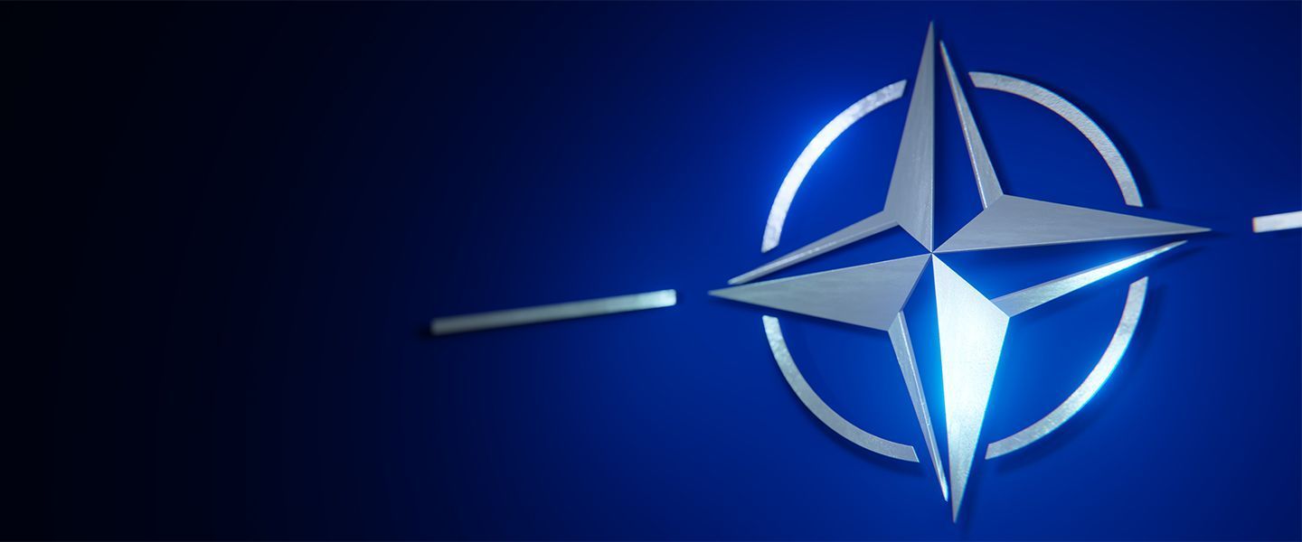 Страны-члены НАТО и кандидаты на вступление в альянс: инфографика