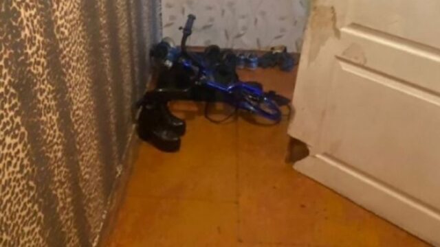 СКР: в убийстве двух детей под Воронежем подозревают их мать и дядю