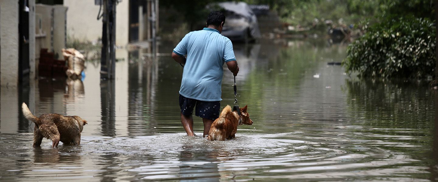 Более 50 человек погибли из-за сильных наводнений в Индии и Бангладеш