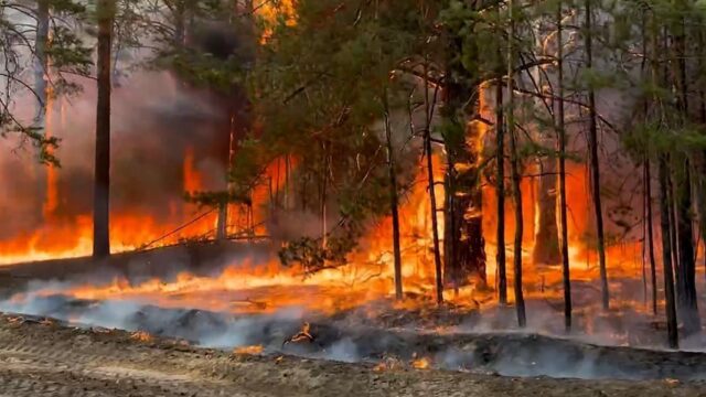 Площадь пожаров в Сибири превысила 65 тыс. кв. м. Сотни домов сгорели