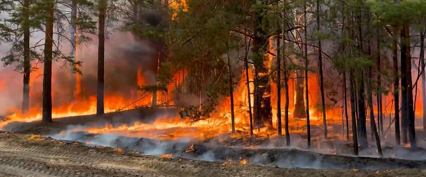 Площадь пожаров в Сибири превысила 65 тыс. кв. м. Сотни домов сгорели