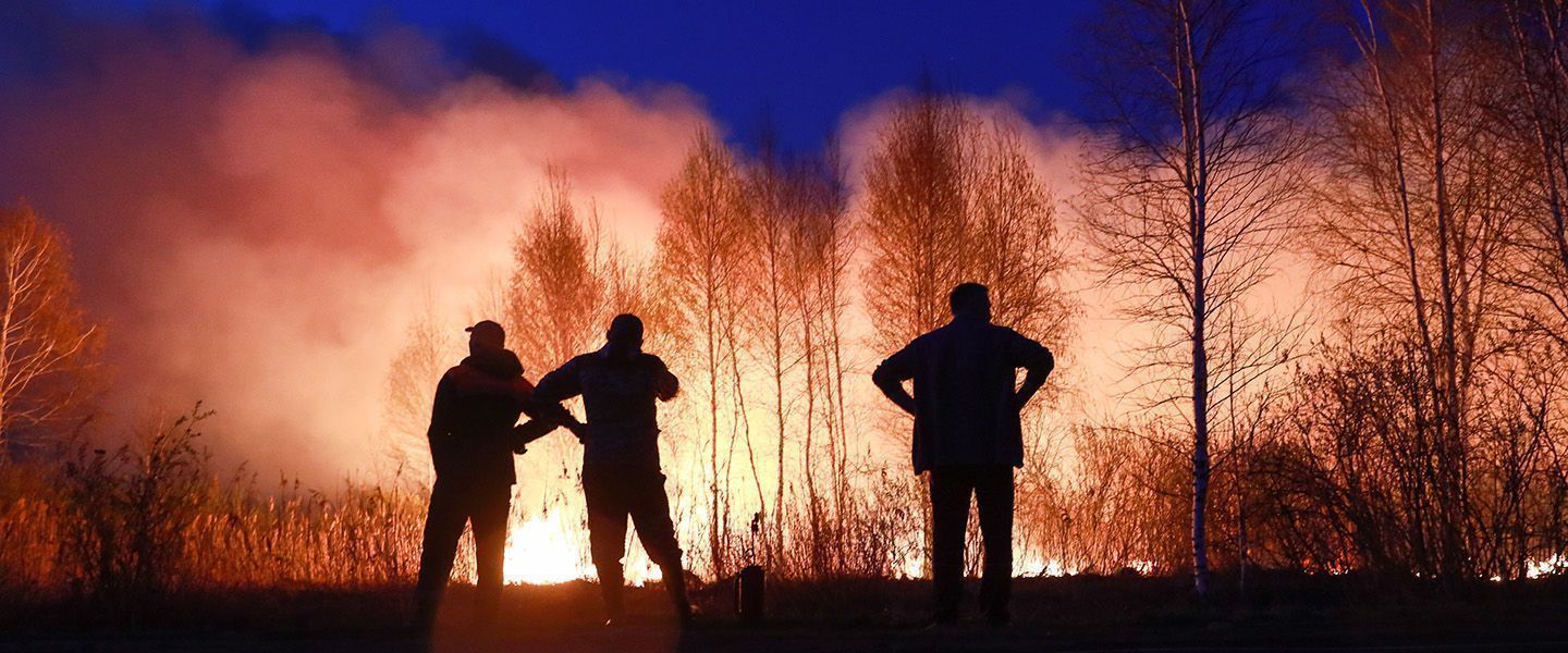 9 из 10 возникает по вине людей». Эксперт Greenpeace о масштабных природных  пожарах в России