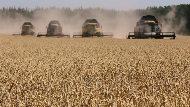 Из Херсонской области начали экспортировать прошлогоднее зерно в Россию