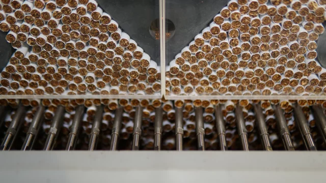 Введение маркировки табака выявило производство «серых» сигарет на 17 млрд рублей