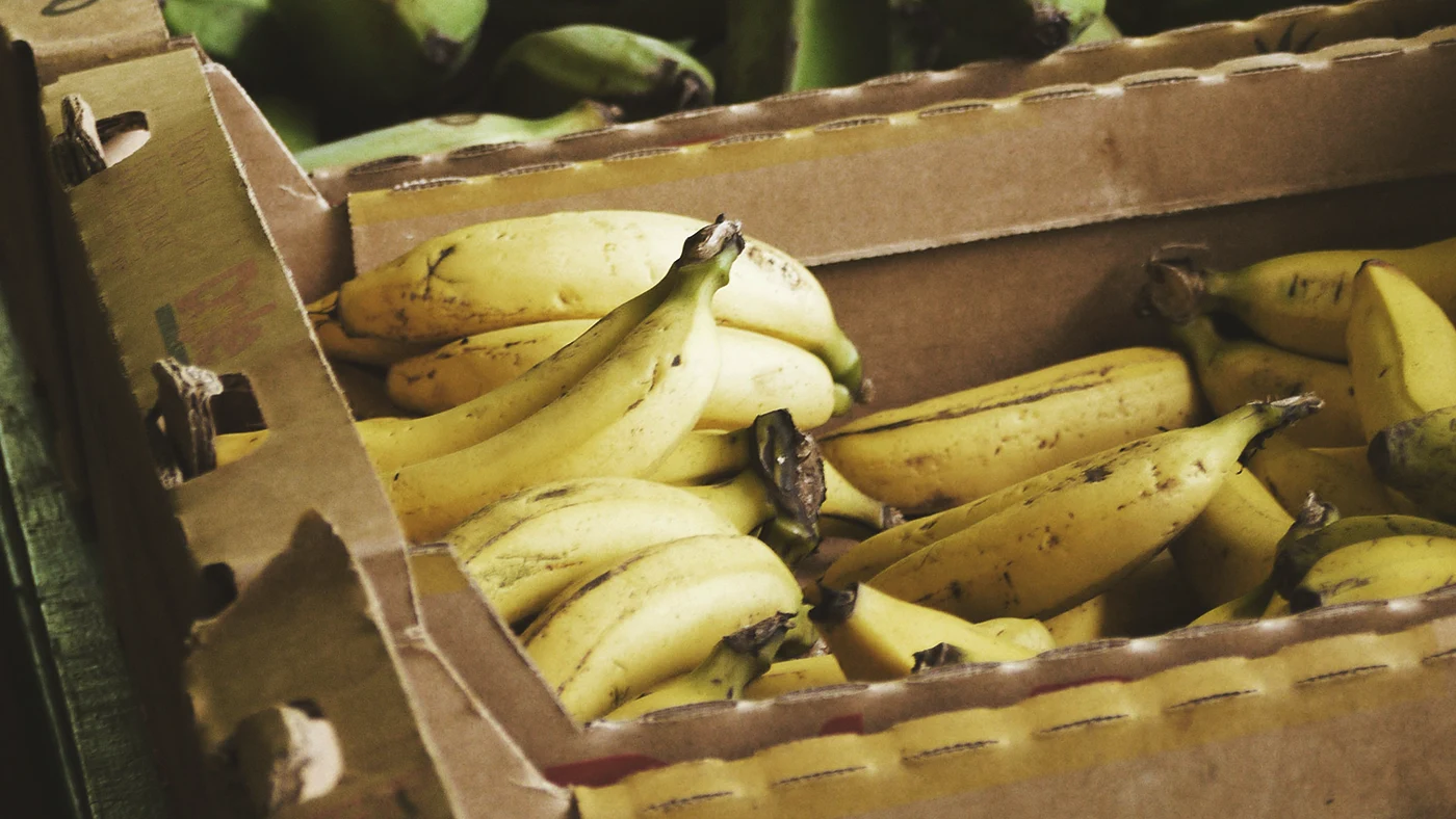 Чешская полиция нашла в бананах из супермаркетов 840 кг кокаина на $85 млн