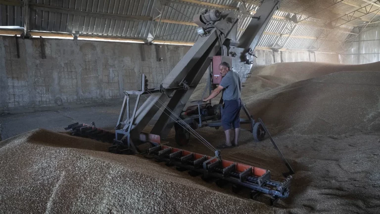США сообщили о работе над «планом Б» по вывозу украинского зерна