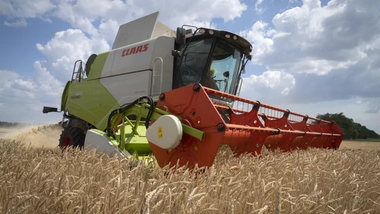 Reuters: Египет аннулировал контракты на поставку 240 тыс. тонн зерна из Украины
