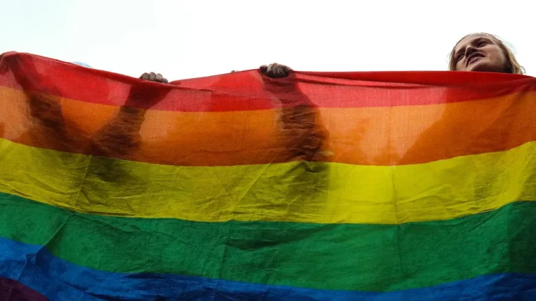 «Действуем, отталкиваясь от норм Конституции». Госдума хочет полностью запретить ЛГБТ-пропаганду в России