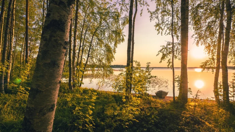Финляндия усилила ограничения для россиян при покупке земли