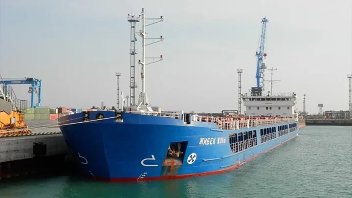 Турция выпустила российское судно с зерном. Украина потребовала разъяснений