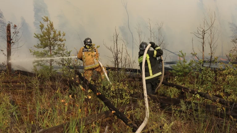 В Гринпис усомнились, что за пожарами в Рязанской области стоят диверсанты