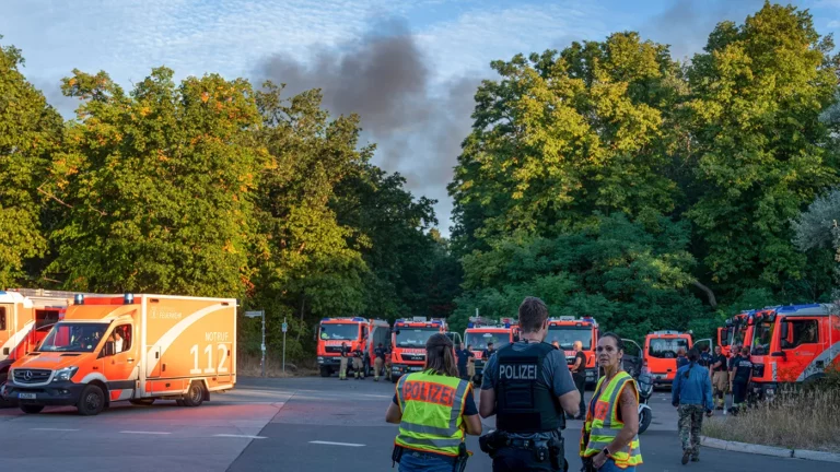 Берлинский лес Грюневальд загорелся из-за детонации полицейских боеприпасов