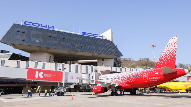 ТАСС: авиакомпании смогут выполнять «спрямленные» полеты в Сочи с 30 августа