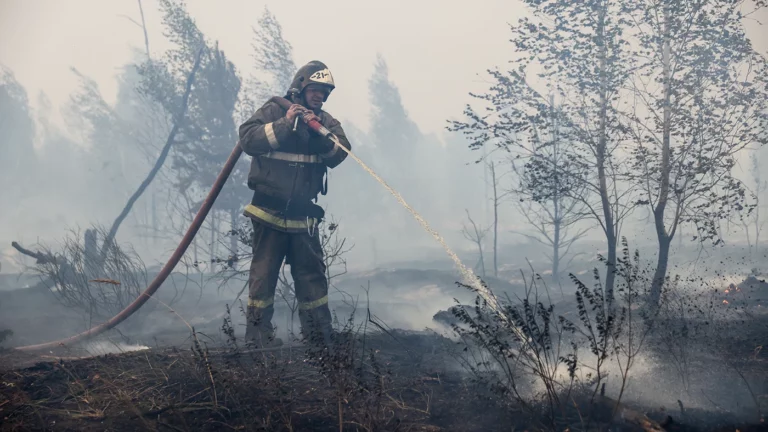 МЧС: ситуация с лесными пожарами в Рязанской области остается сложной