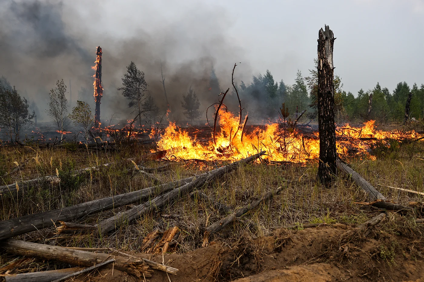 Пожар в лесу какой фактор
