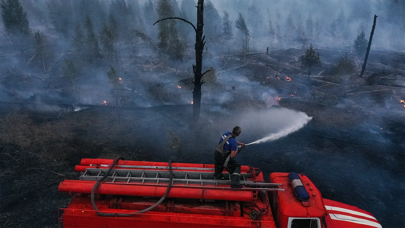 Как Рязанская область борется с лесными пожарами