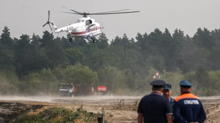 МЧС: в Рязанской области ликвидировали верховые лесные пожары