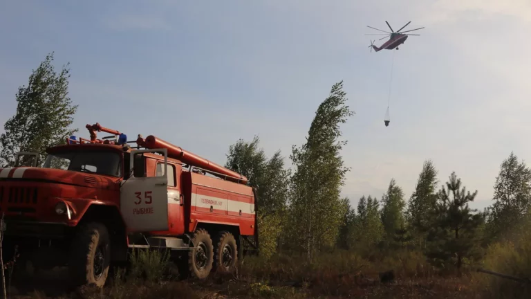 Рослесхоз: власти Рязанской области скрывали реальные масштабы лесных пожаров