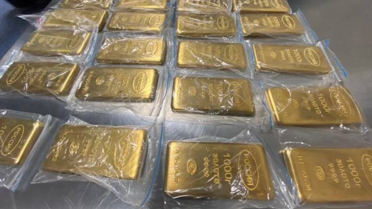 Таможня во Внуково не дала вывезти в Дубай 225 кг золота