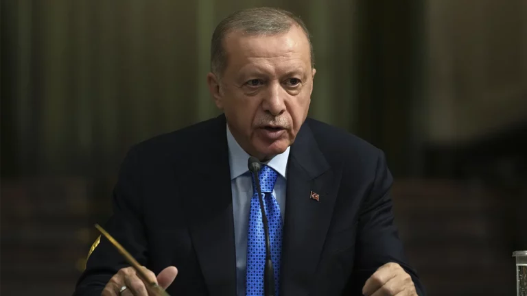 Эрдоган поручил создать российско-турецкую альтернативу платежной системе «Мир»