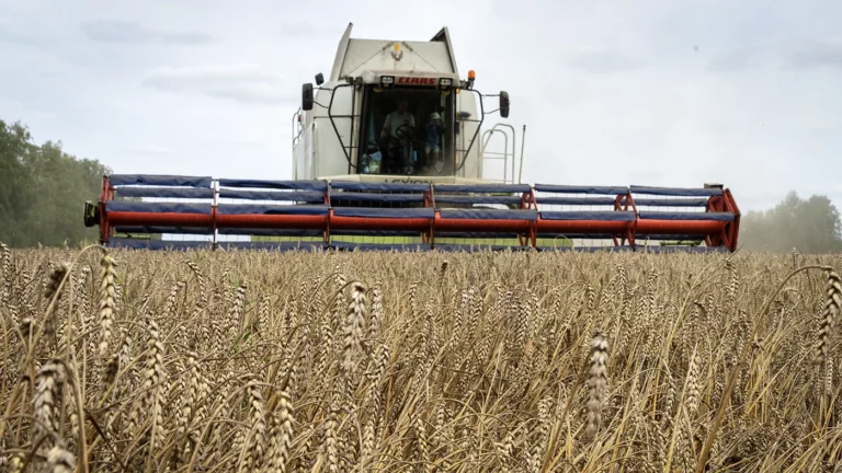 Путин допустил ограничения на вывоз зерна из Украины и назвал страны Европы «колонизаторами»