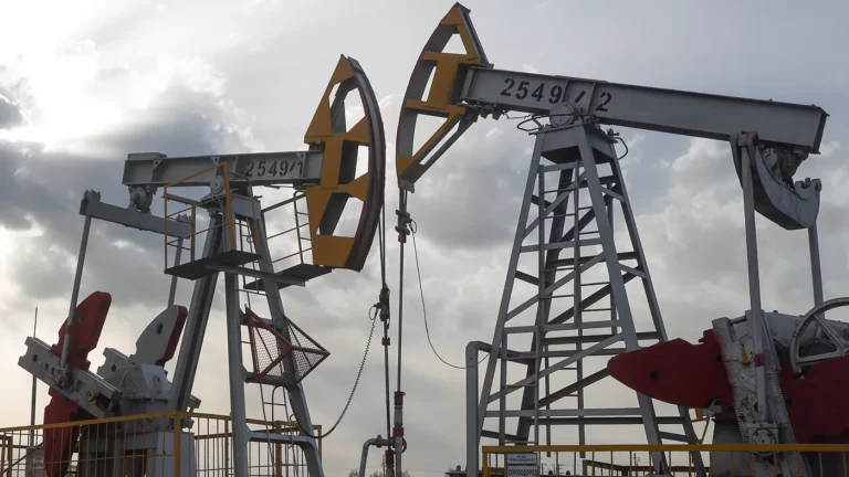 Индия назвала условие поддержки ограничения цен на российскую нефть