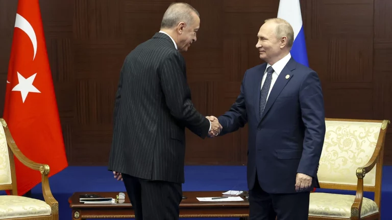 Эрдоган заявил, что договорился с Путиным о создании газового хаба