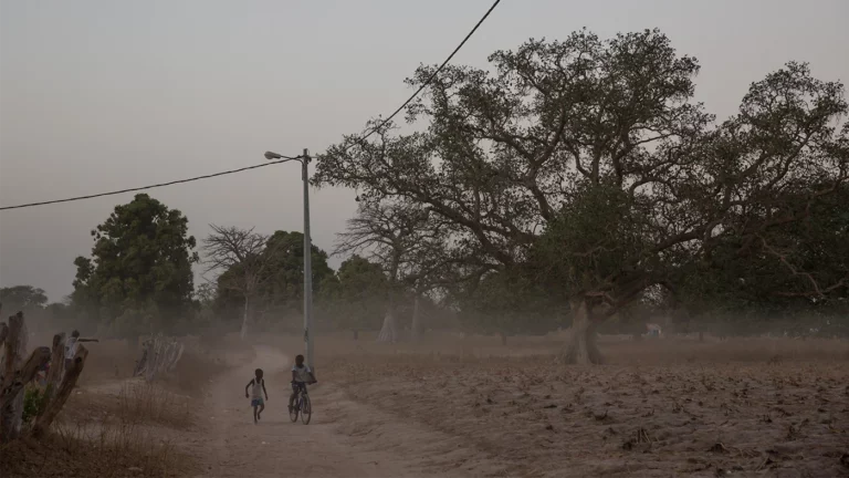 В ВОЗ связали массовую гибель детей в Гамбии с сиропами от кашля