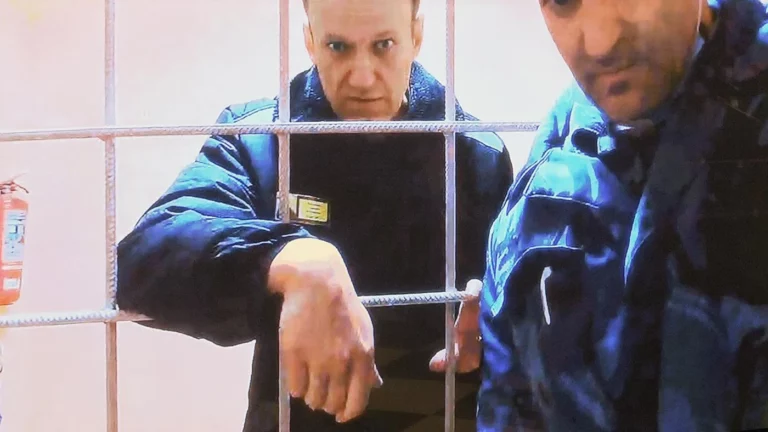Руководство ИК-6 объяснило в суде очередную отправку Навального в ШИЗО