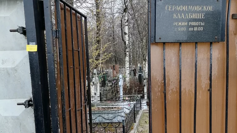 Суд отправил под домашний арест петербурженку, которая оставила записку на могиле родителей Путина
