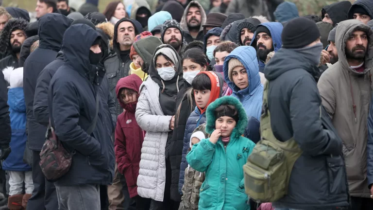 Amnesty выпустила доклад об «издевательстве» властей Латвии над беженцами на границе с Беларусью