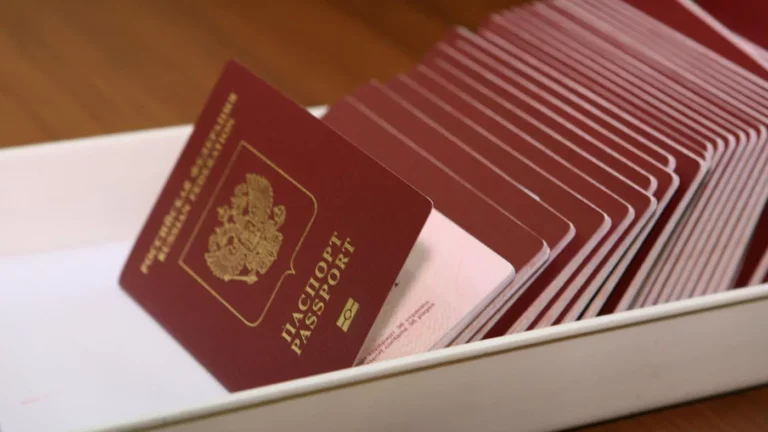 В России выросло число оформлений загранпаспортов на фоне мобилизации