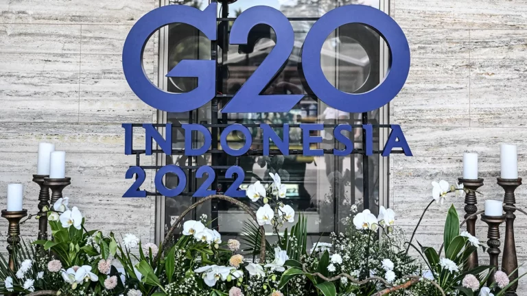 Власти Индонезии: Путин выступит на одной из встреч на G20 онлайн