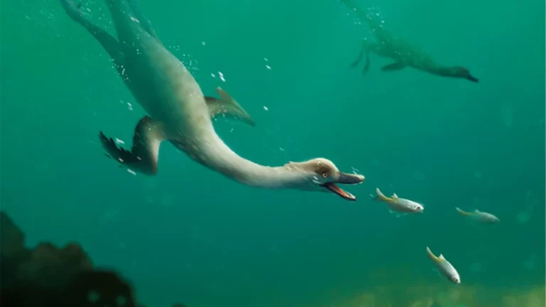 В пустыне Гоби обнаружили останки неизвестного ранее динозавра, похожего на помесь пингвина и гуся