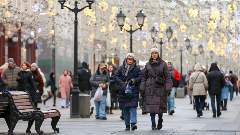 Синоптик пообещал жителям Москвы «нордический» декабрь и «мягкотелые» январь с февралем