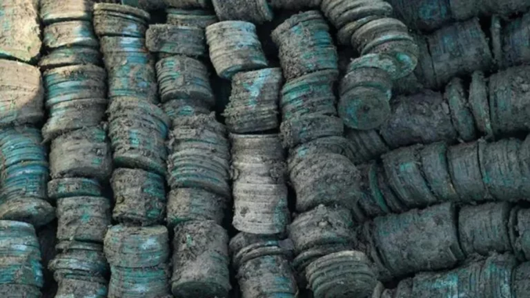 На востоке Китая обнаружили клад с 1,5 тоннами древних монет