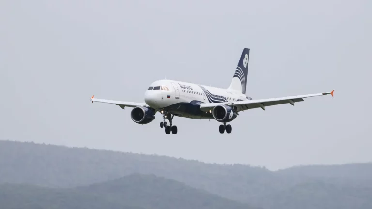 Авиакомпания «Аврора»: на зарубежных самолетах можно летать еще 10 лет