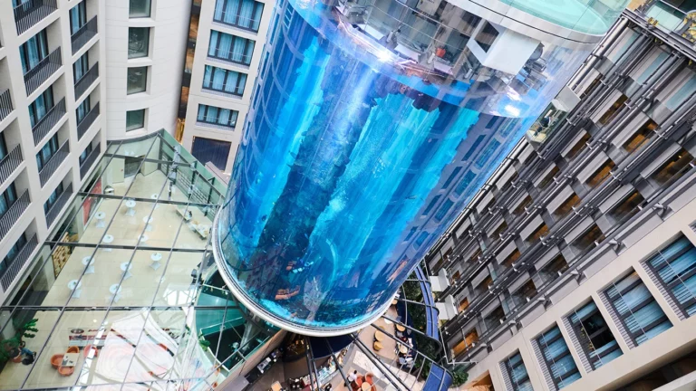В центре Берлина лопнул самый большой в мире цилиндрический аквариум. В нем плавали 1,5 тыс. рыб
