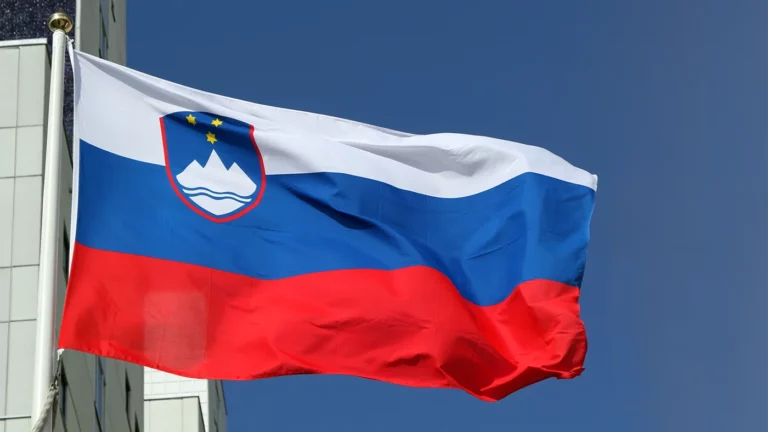 СМИ: в Словении задержали двух иностранцев, обвиняемых в шпионаже в пользу России