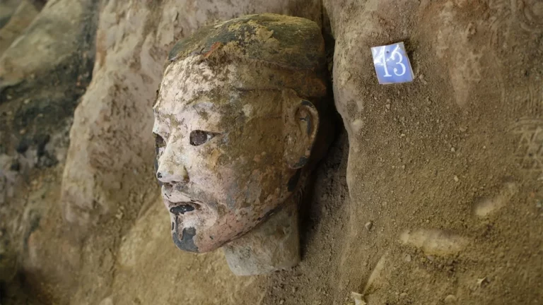 Китайские археологи нашли 220 терракотовых воинов у мавзолея первого императора