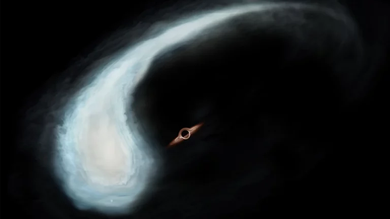Космический головастик помог найти черную дыру редкого типа
