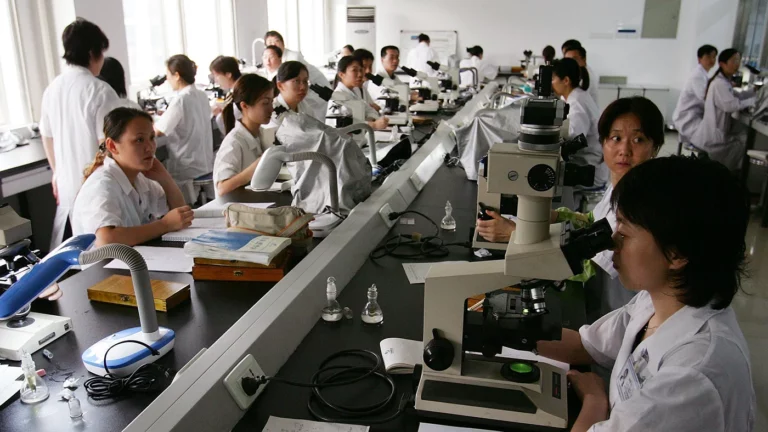 Nature: Китай становится главным партнером российских ученых вместо западных
