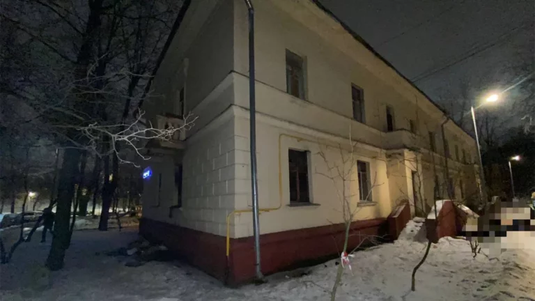 В квартире на юго-востоке Москвы после пожара нашли тела двух мужчин с ножевыми ранениями