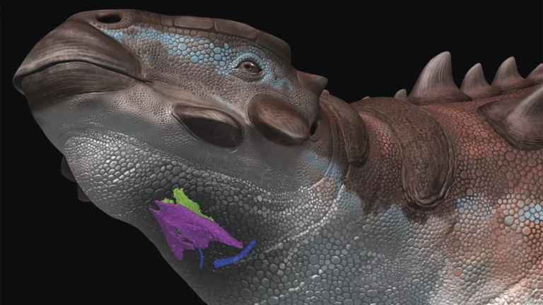 Ученые впервые поняли, какие звуки издавали динозавры