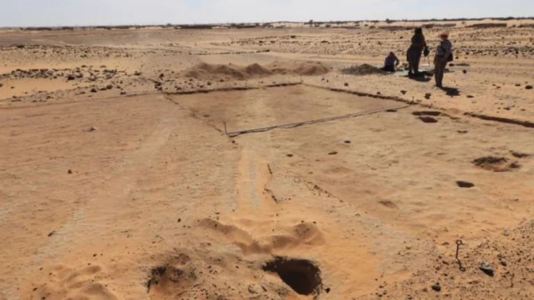 В Судане раскопали костяные лезвия возрастом 7 тыс. лет. Они использовались для обескровливания коров