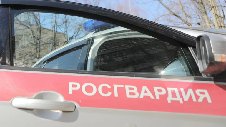 В Домодедове задержали мужчину, угрожавшего взорвать гранату в военкомате