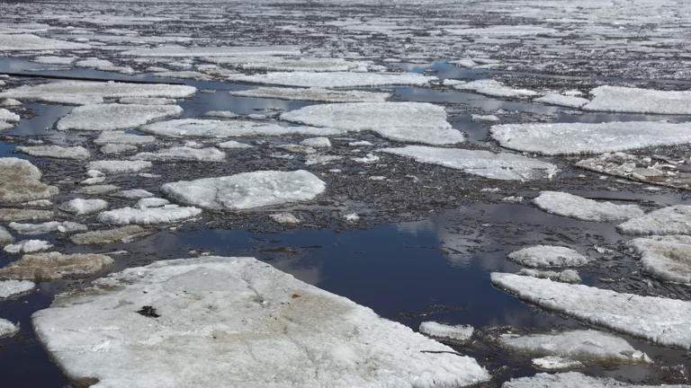 На Камчатке пожарный проплыл 40 м в ледяной воде, чтобы спасти ребенка