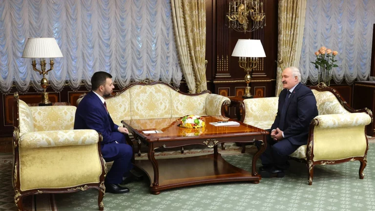 Украина отозвала посла из Беларуси из-за встречи Лукашенко с Пушилиным