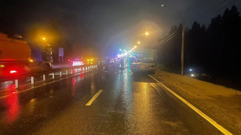 На Киевском шоссе грузовик столкнулся с шестью автомобилями. Погибли четыре человека