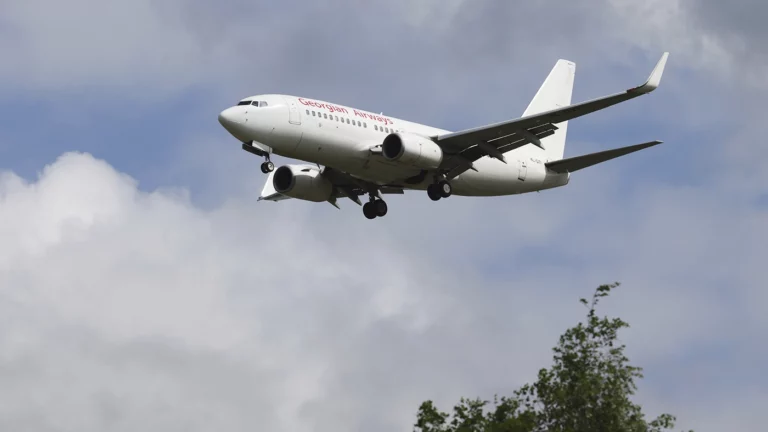 Georgian Airways запретила президенту страны летать на самолетах компании